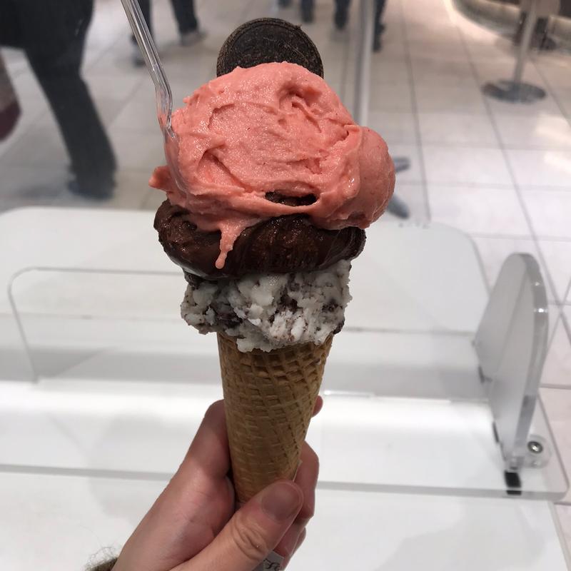 レゴラーレ(M)(ヴェンキ)