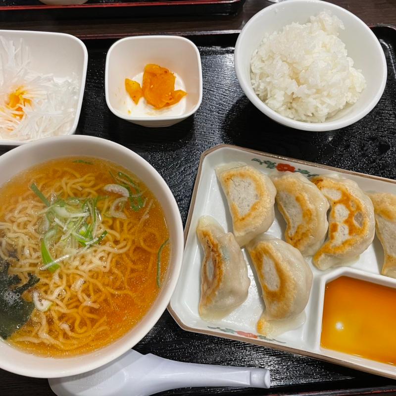 手作り焼き餃子セット(パンダ美食)