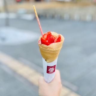 迎春いちご　新春クレープ(fruit & crepe dolette ドレッタ)
