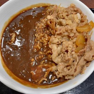 肉だくカレー(吉野家 聖蹟桜ヶ丘駅店)