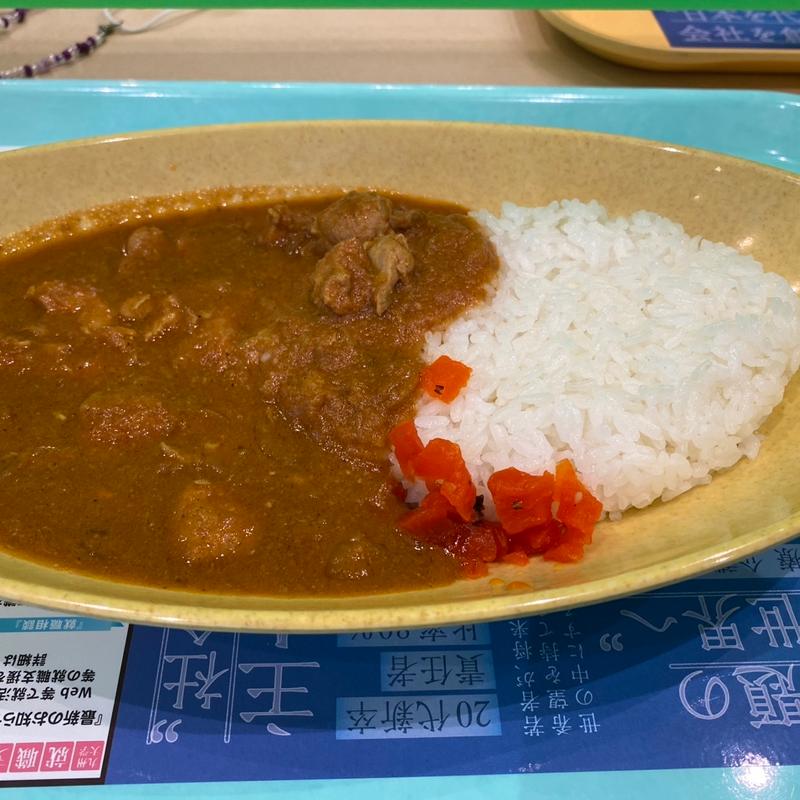 チキンカレー(Quasis Seyri Alem Cafe Restaurant)