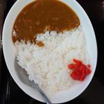 ミニカレー