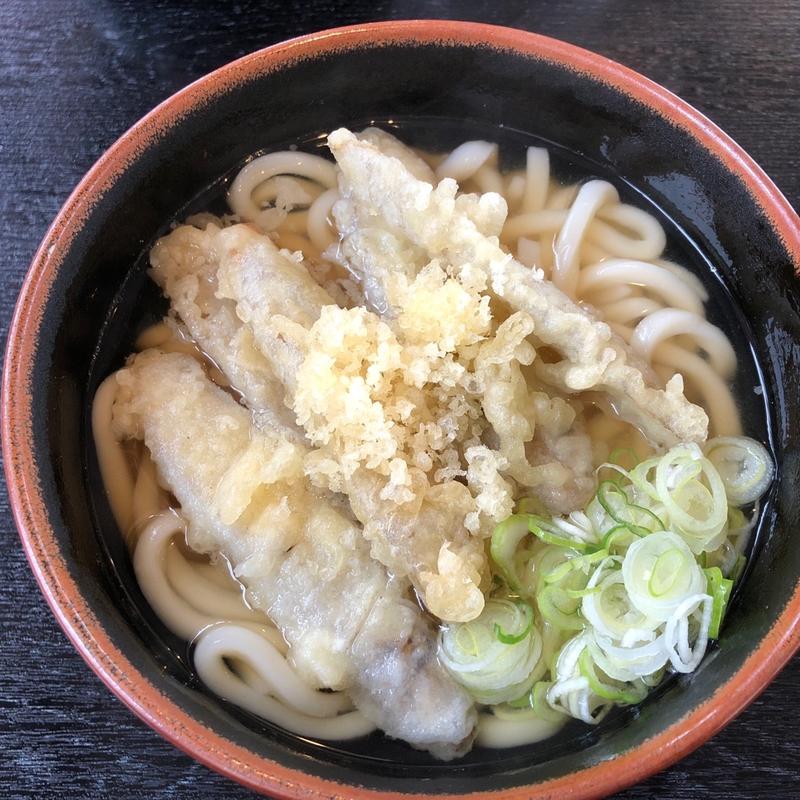(春野家うどん )