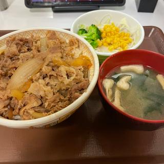 牛丼+サラダセット