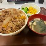 牛丼+サラダセット(すき家 城陽久世店 )