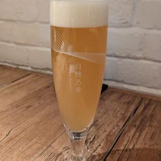 白穂乃香(Cheese Tavern CASCINA)