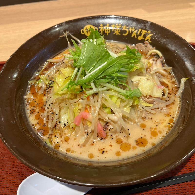 黒ちゃんぽん(上里SA 神様ちゃんぽん)