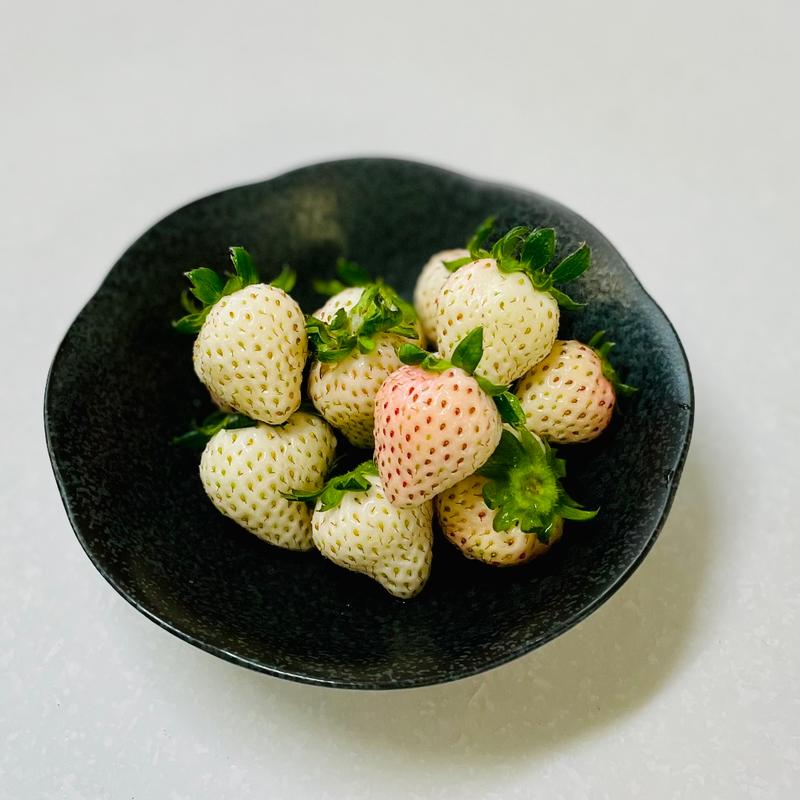 真珠姫(軽井沢ガーデンファームいちご園)