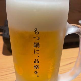 生ビール(博多もつ鍋 前田屋 博多店)
