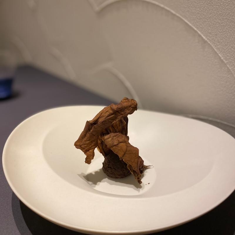 (プレゼンテ スギ)