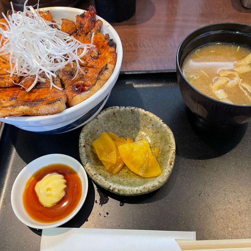 (北海道十勝豚丼 なまらうまいっしょ！ 平塚駅北口店)