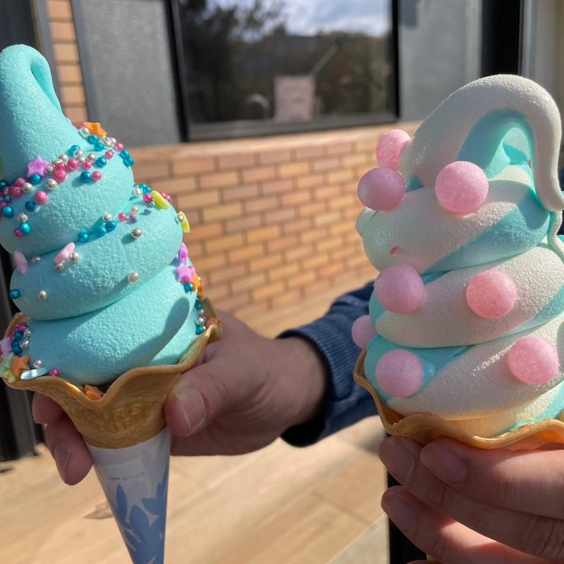 (TERRACE CAFE IPPEKIKO(テラスカフェ一碧湖))