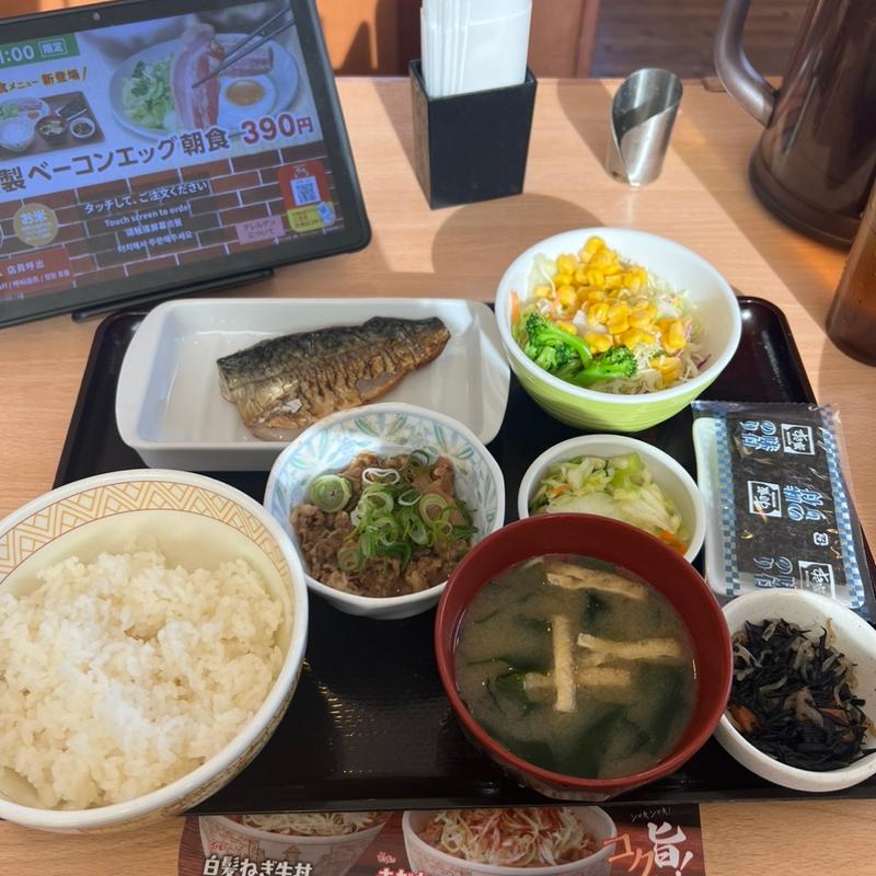 さばデラックス朝食、サラダ(すき家 八潮西袋店)