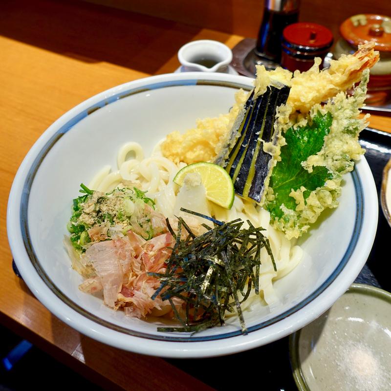 大海老天ぶっかけうどん(手作りうどん讃岐 天粉盛)