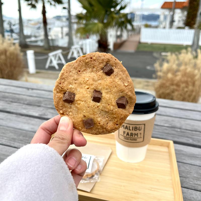 チョコチップクッキー(シーサイドカフェ（リビエラ逗子マリーナ内）)