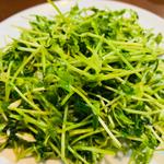 ビタミンCたっぷり豆苗炒め(台湾料理　八福　花見川店)