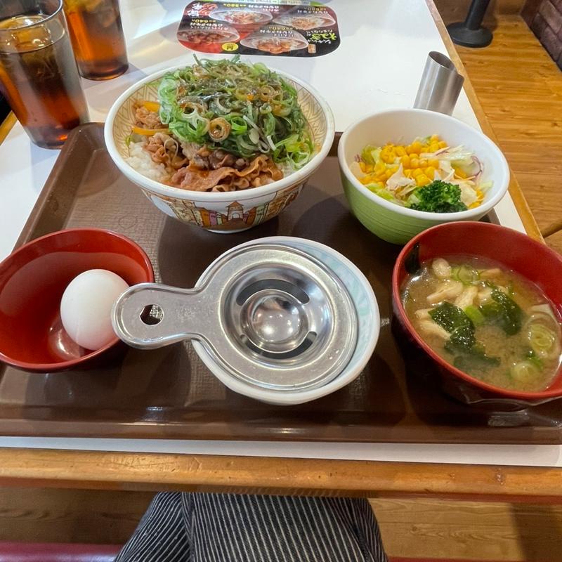 ネギ玉牛丼(すき家 31号呉海岸通り店 )