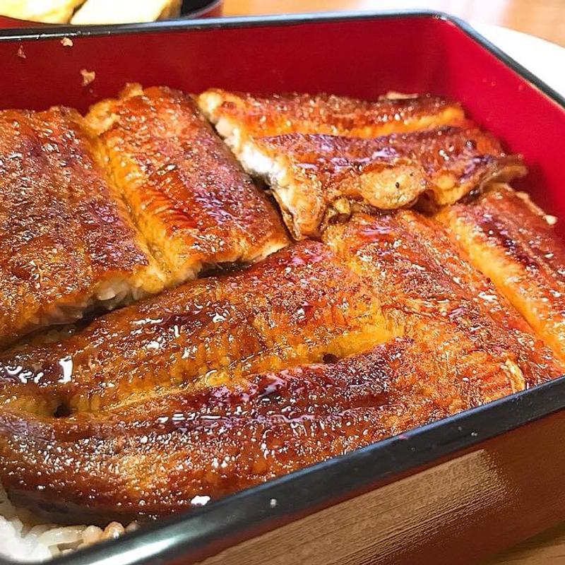 大阪まむし 蘭(本家 柴藤)