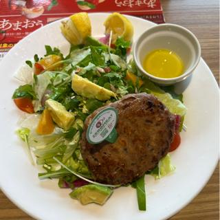 ゼロミートハンバーグのパワーサラダ(デニーズ高井戸店)