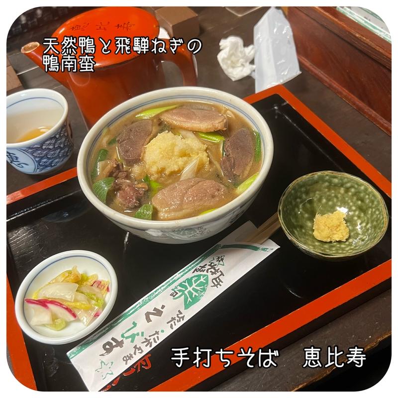 天然鴨使用　鴨南蛮(Teuchi Soba Ebisu (Honten))
