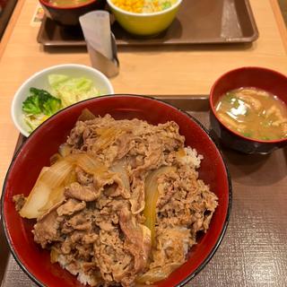 牛丼メガ　サラダセット(すき家 八潮西袋店)