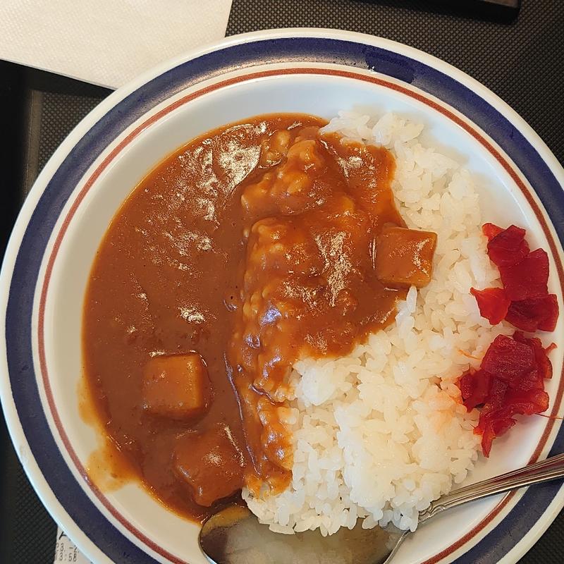 ミニカレー(名代 富士そば 大井町駅前店 )