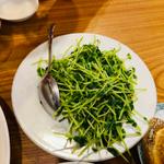 豆苗炒める(豊味楼)