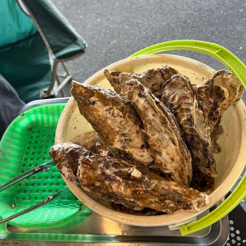 (出張牡蠣小屋 牡蠣奉行 【開催期間】2023年1月7日～2月12日)