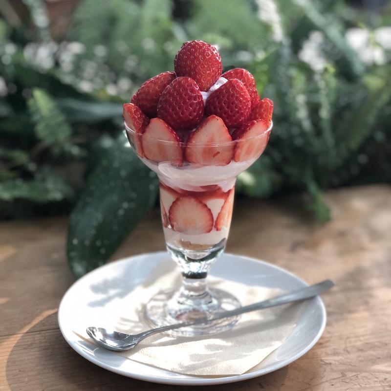 季節のフルーツパフェ　苺(葡萄屋 kofu パークcafe)