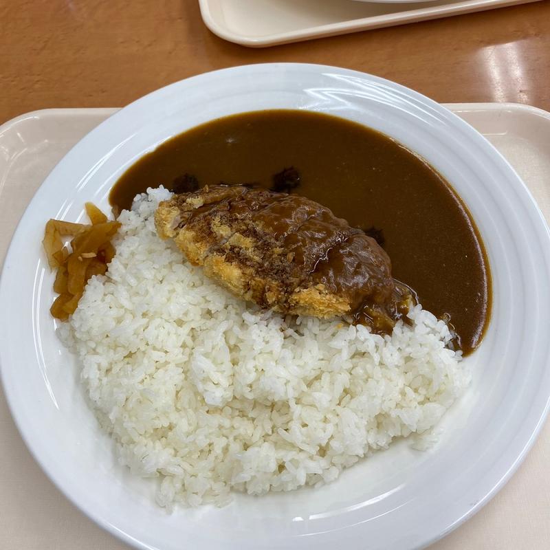 カツカレー(勝央サービスエリア上り線 )