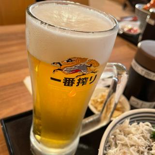 ビール(日本橋海鮮丼 つじ半 ららぽーと立川立飛店)