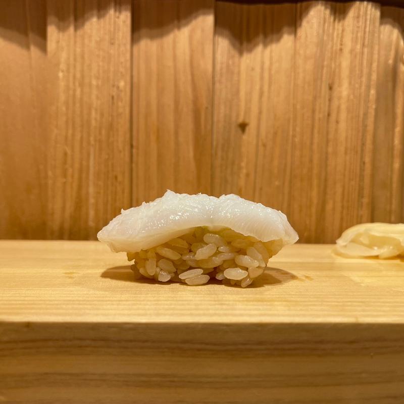 生タコ(鮨屋とんぼ 栄店)