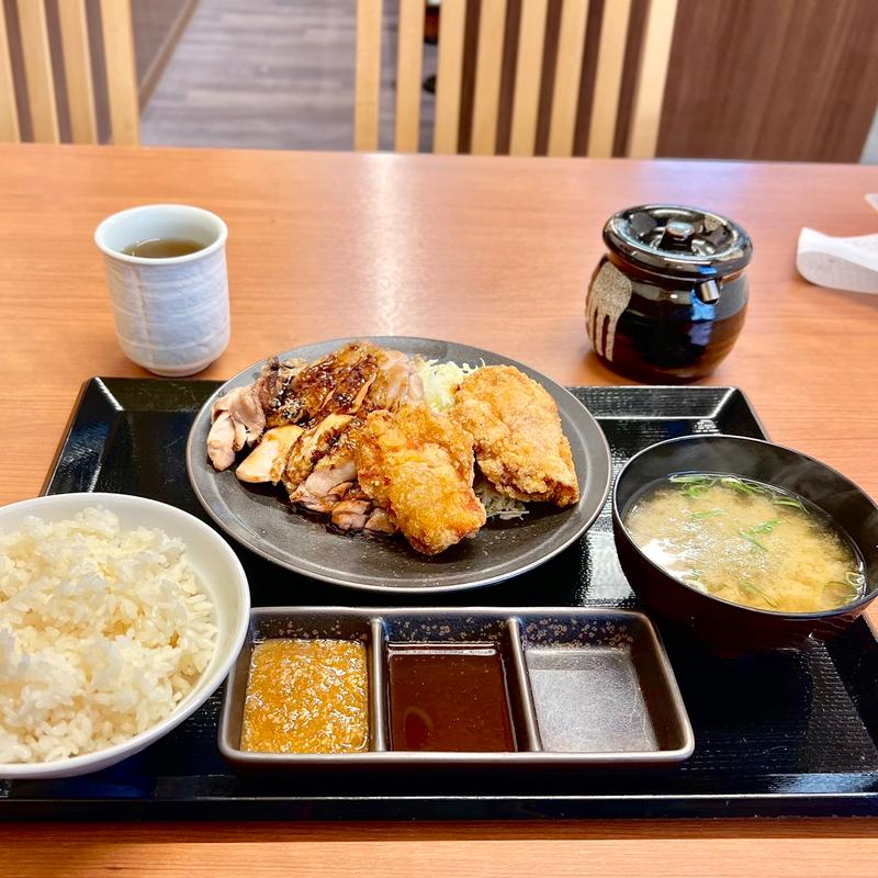 二種盛り定食(からやま 寝屋川宇谷店)