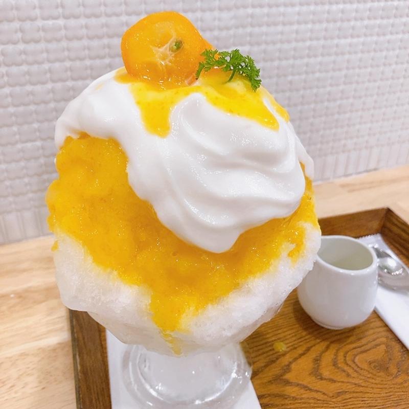 金柑と酒粕(コオリヤ ユキボウシ)