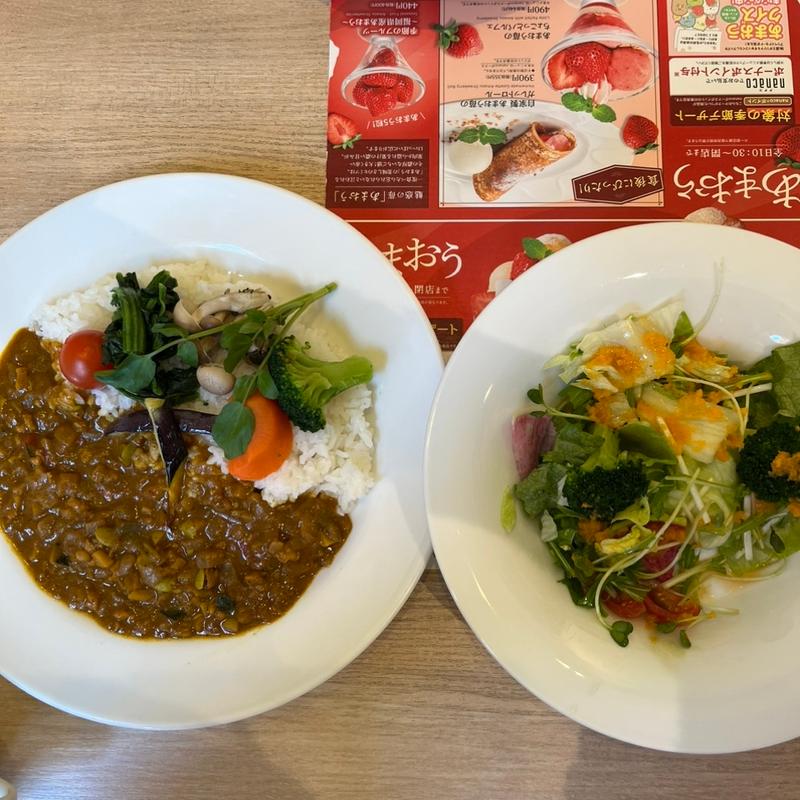 キーマカレー(デニーズ 高津店 （Denny’s）)