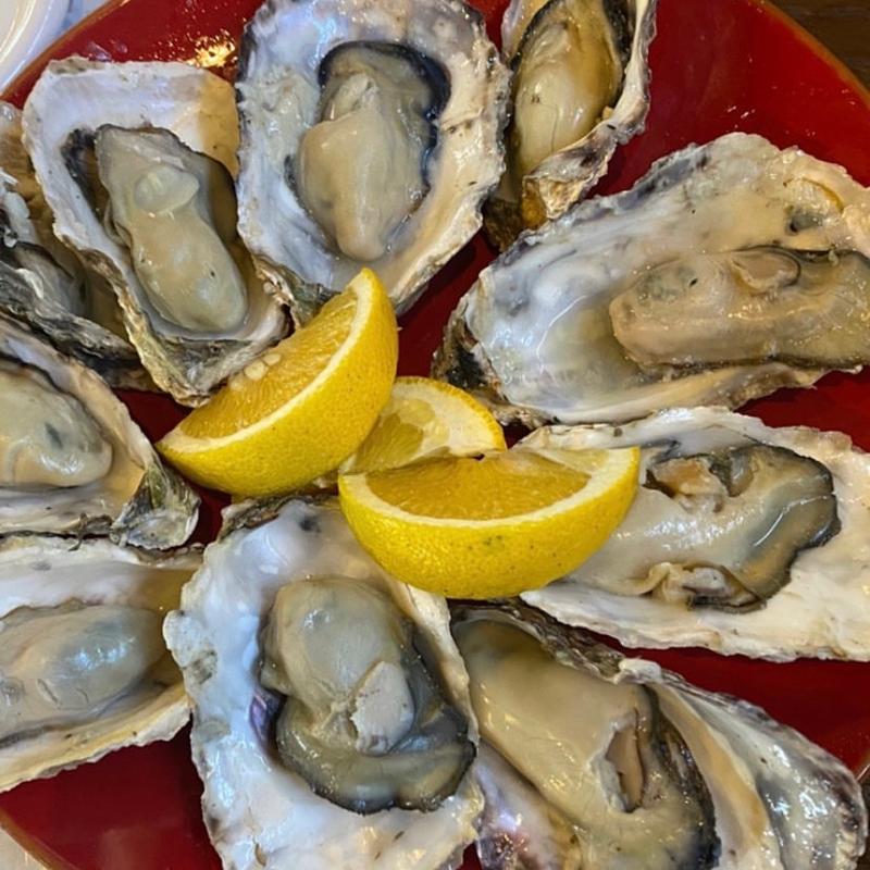 (お食事処「かましま」)