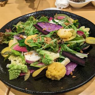 鎌倉野菜のサラダ(海鮮居酒屋ふじさわ)