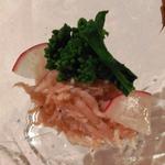 釜揚げしらす明太和え菜の乗せ(金市朗 仙台駅前店 （キンイチロ）)