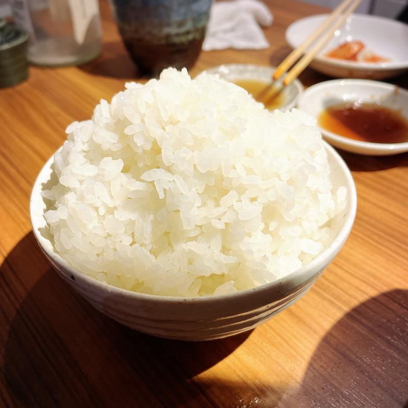 ライス（大）(焼肉ホルモン金樹)