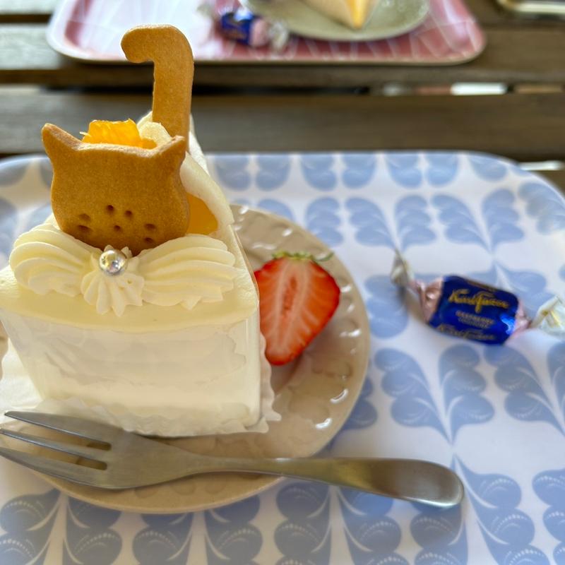 和柑橘のショートケーキ(お菓子工房タウコ)