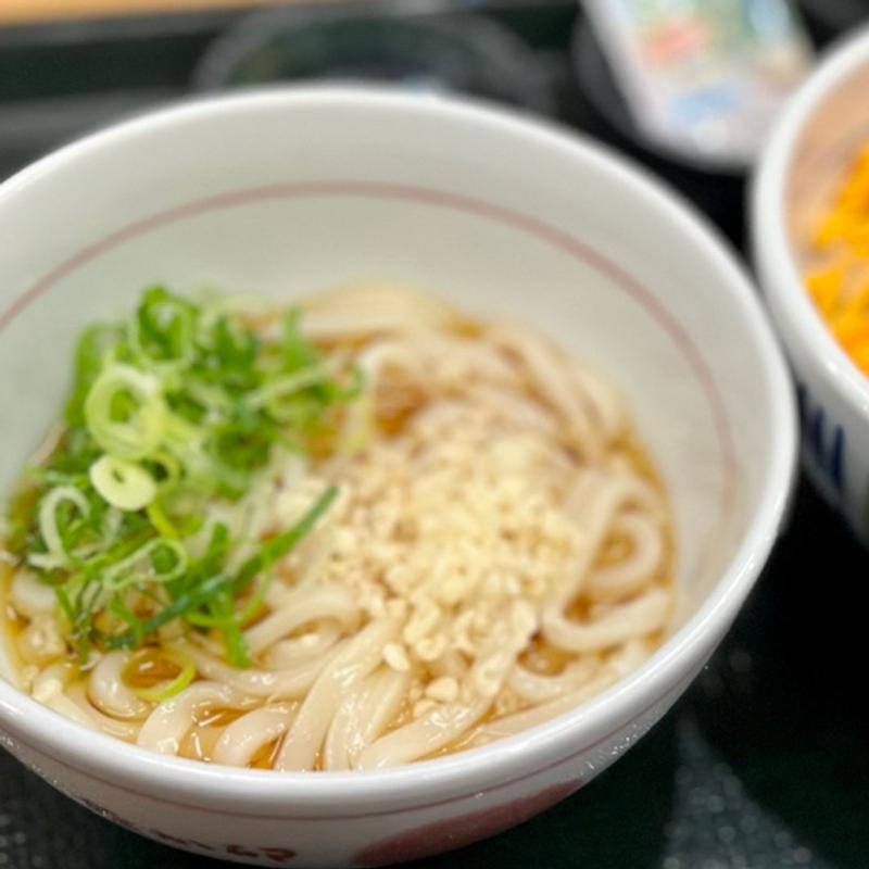 はいからうどん(なか卯 すすきの西店 )