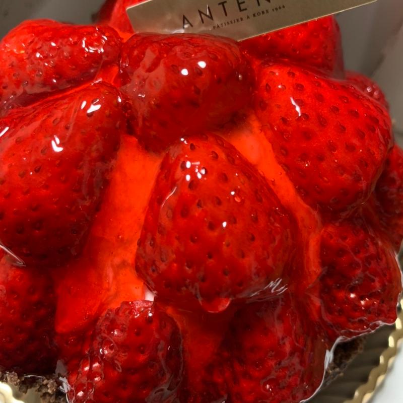 (アンテノール 大丸東京店)