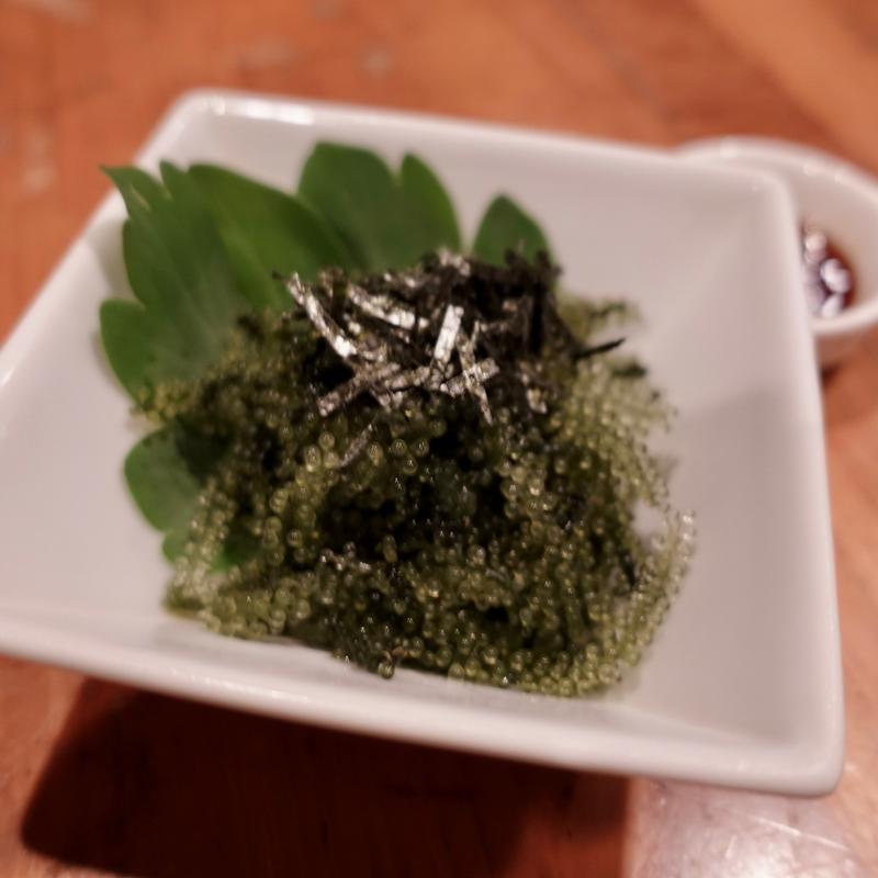 島産プチプチ海ぶどう(森の賢者 （もりのけんじゃ）)