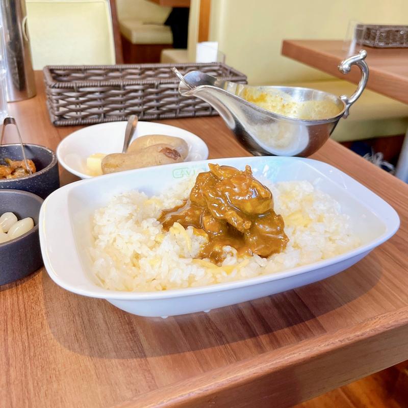 チキンカレー(ガヴィアル )