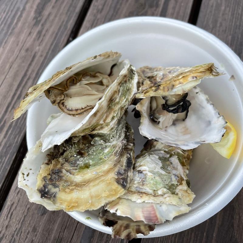 (九十九島 海遊 （クジュウクシマ カイユウ）)