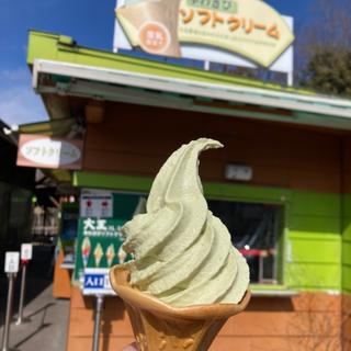本わさびソフトクリーム(大王わさび農場 テイクアウトコーナー )
