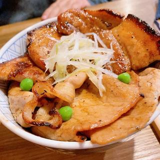 ハーフ&ハーフ丼(元祖豚丼屋TONTON 広島宝町店)