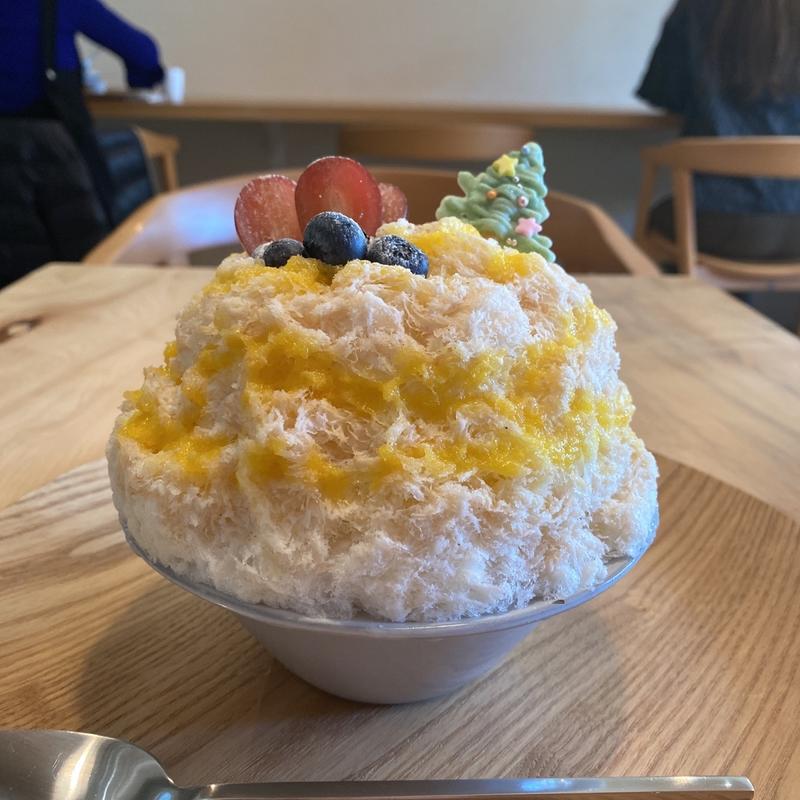 クリスマス氷(A.cocottobis(エーココットビス))