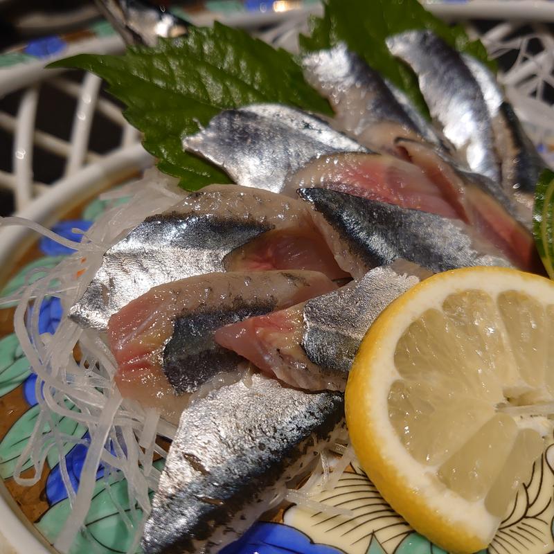 いわし刺し(味処こやぎ)