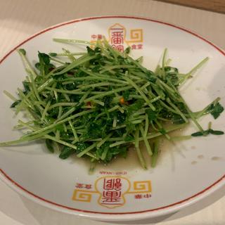豆苗炒め(単品)(中華食堂一番館 西武新宿駅前店)